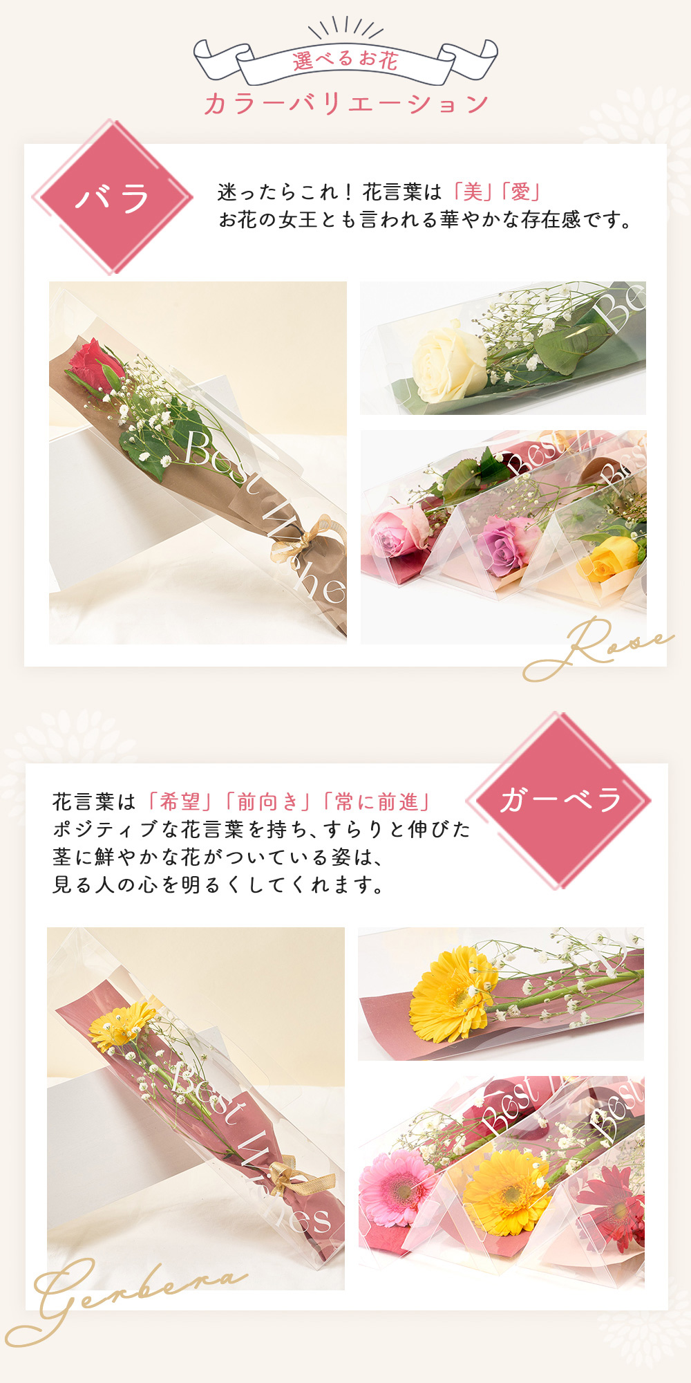 お花の色ラッピングペーパーの色はお任せになります