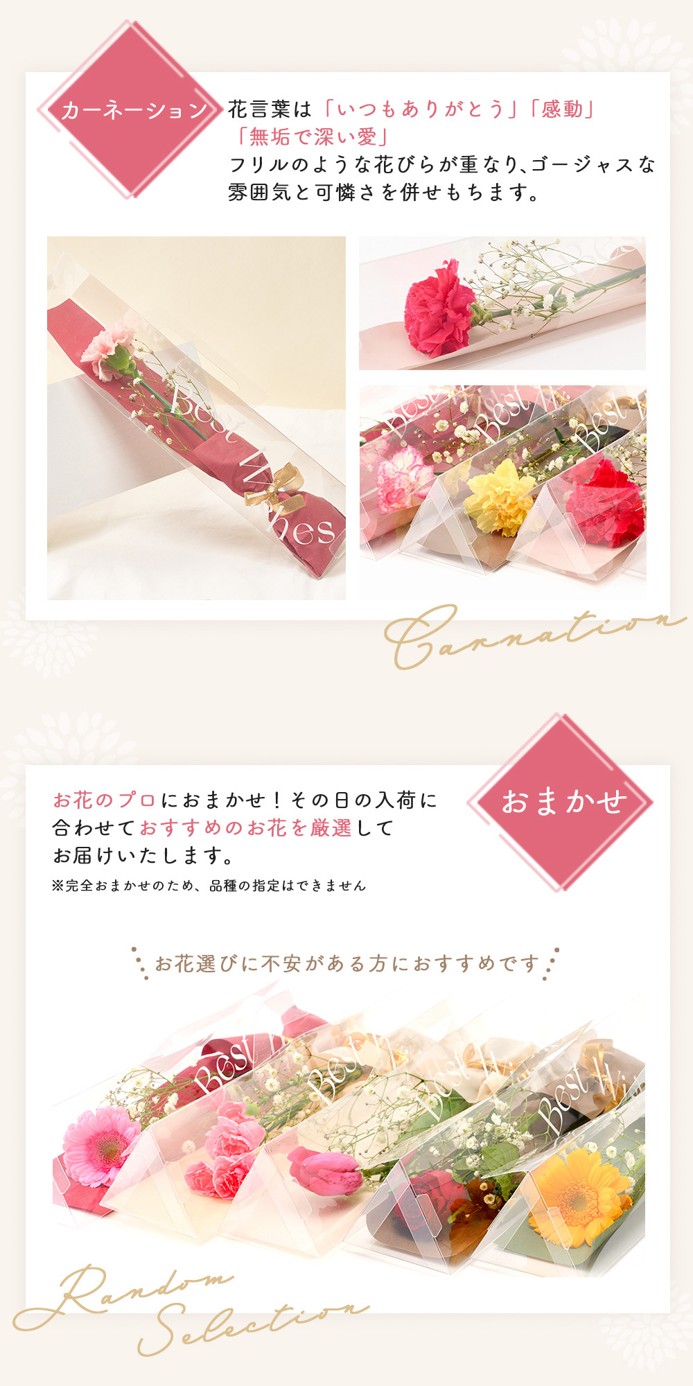 3本からおまとめ購入OK