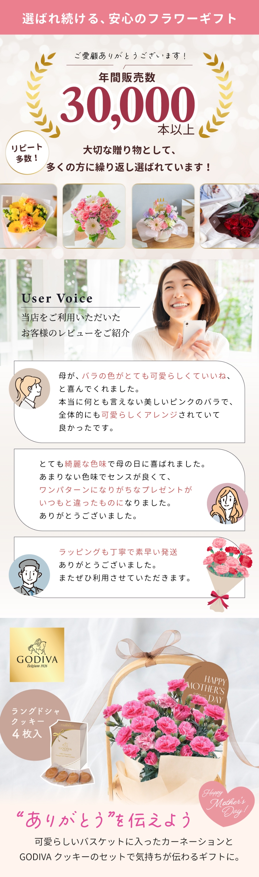 母の日カーネーション鉢 GODIVAセット 4号鉢