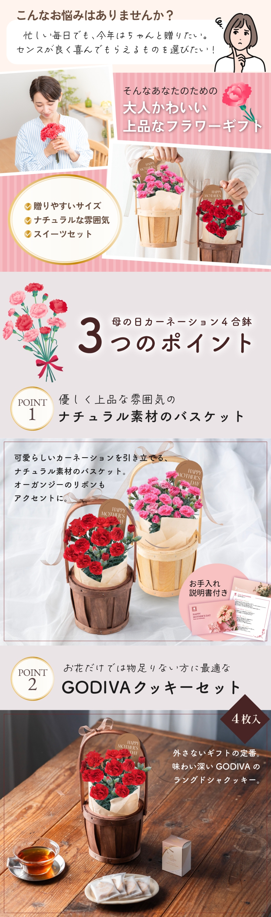 母の日カーネーション鉢 GODIVAセット 4号鉢