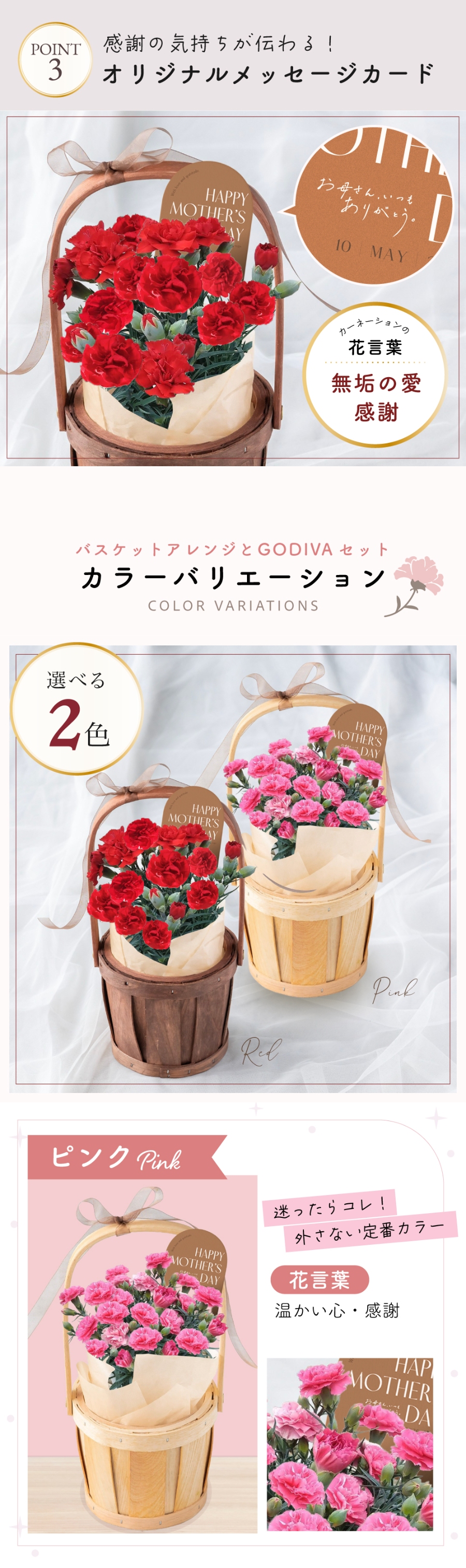 母の日カーネーション鉢 GODIVAセット 4号鉢