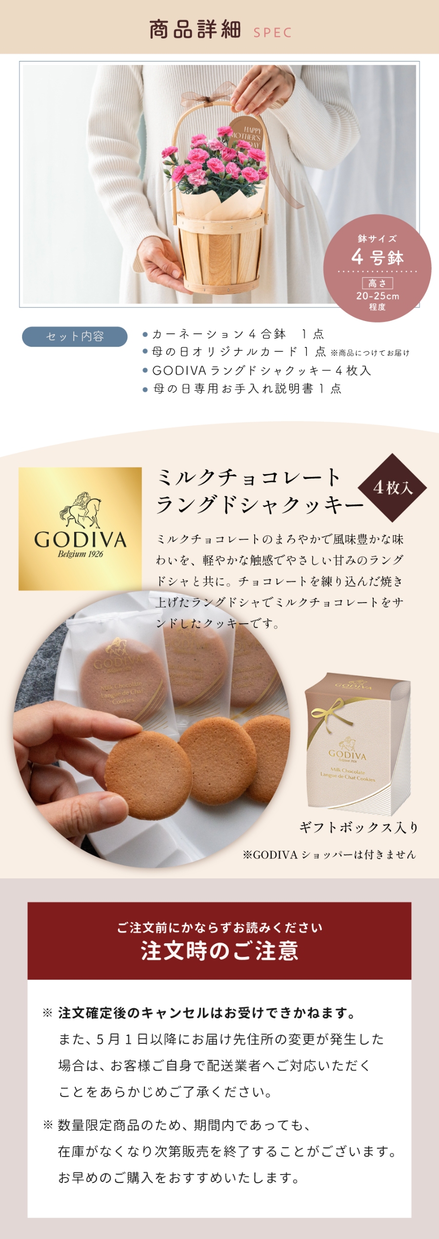 母の日カーネーション鉢 GODIVAセット 4号鉢