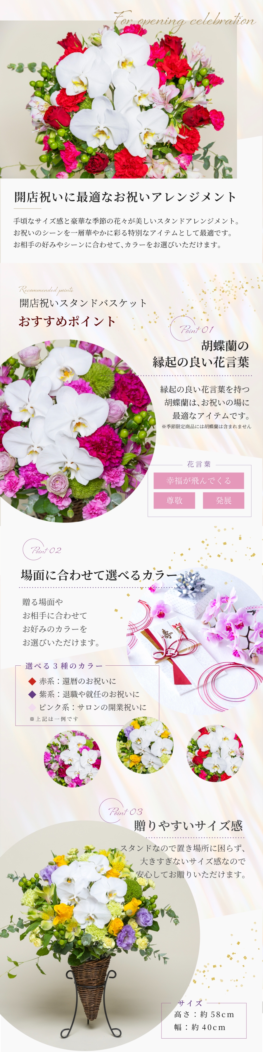 おすすめポイント