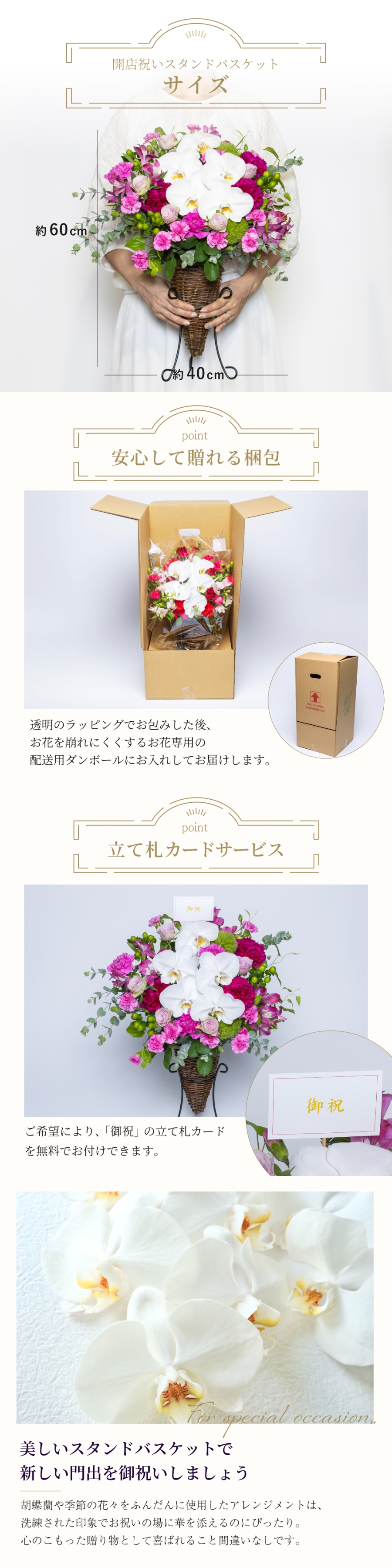 サイズ