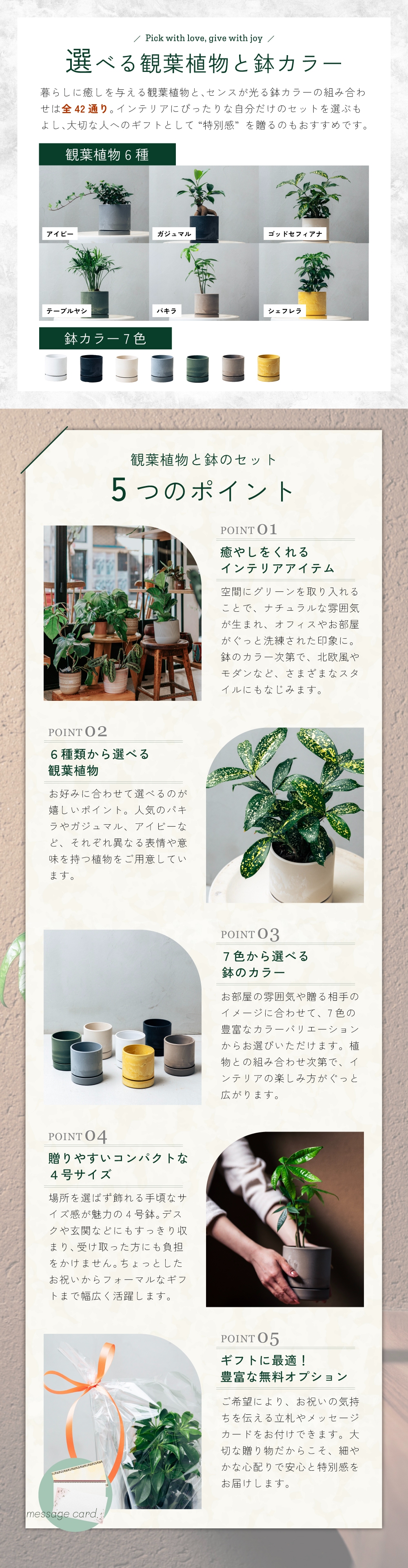 6種類の観葉植物と7色の鉢を自由に組み合わせて、全42通りのスタイルをお楽しみいただけます