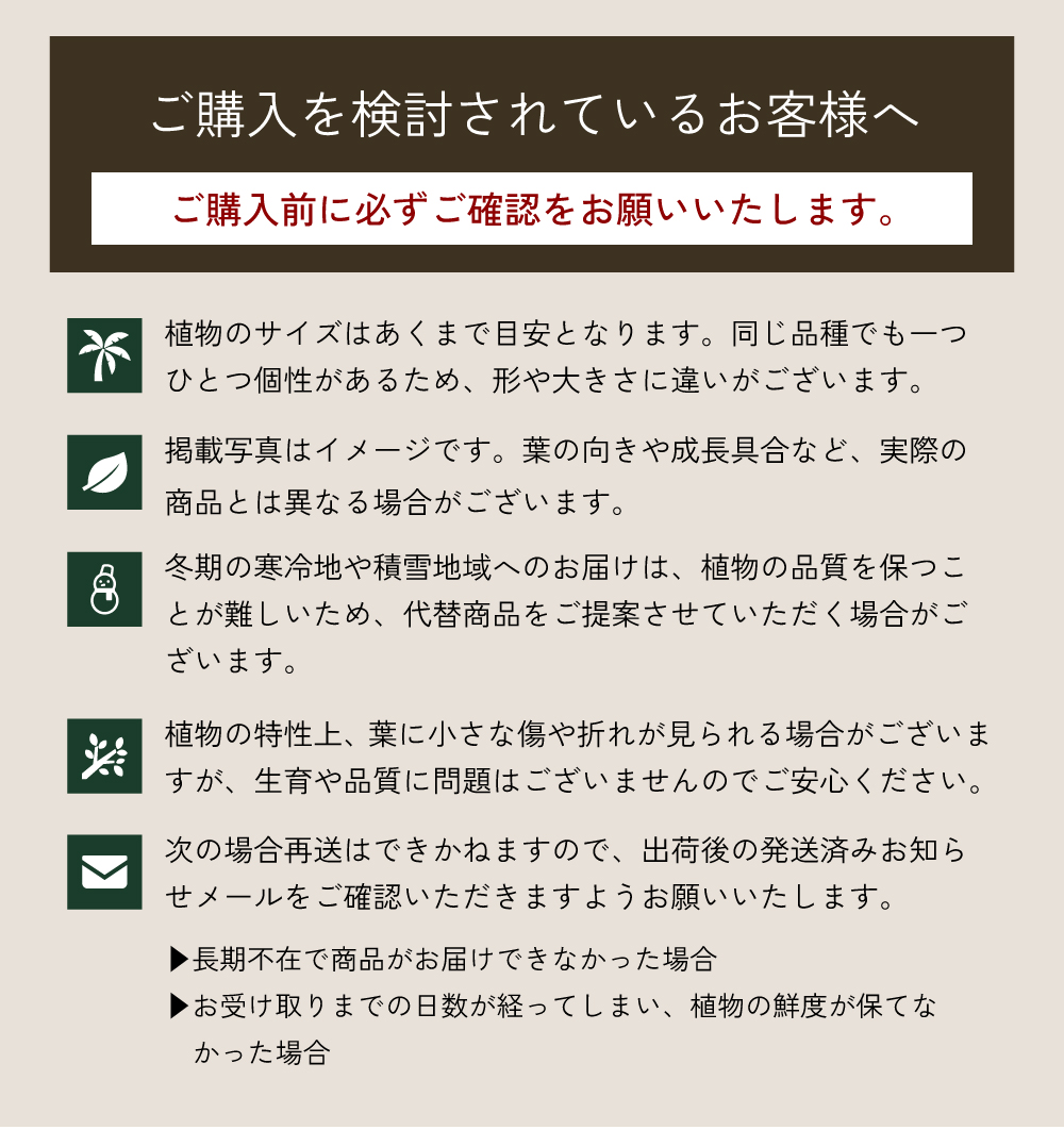 説明