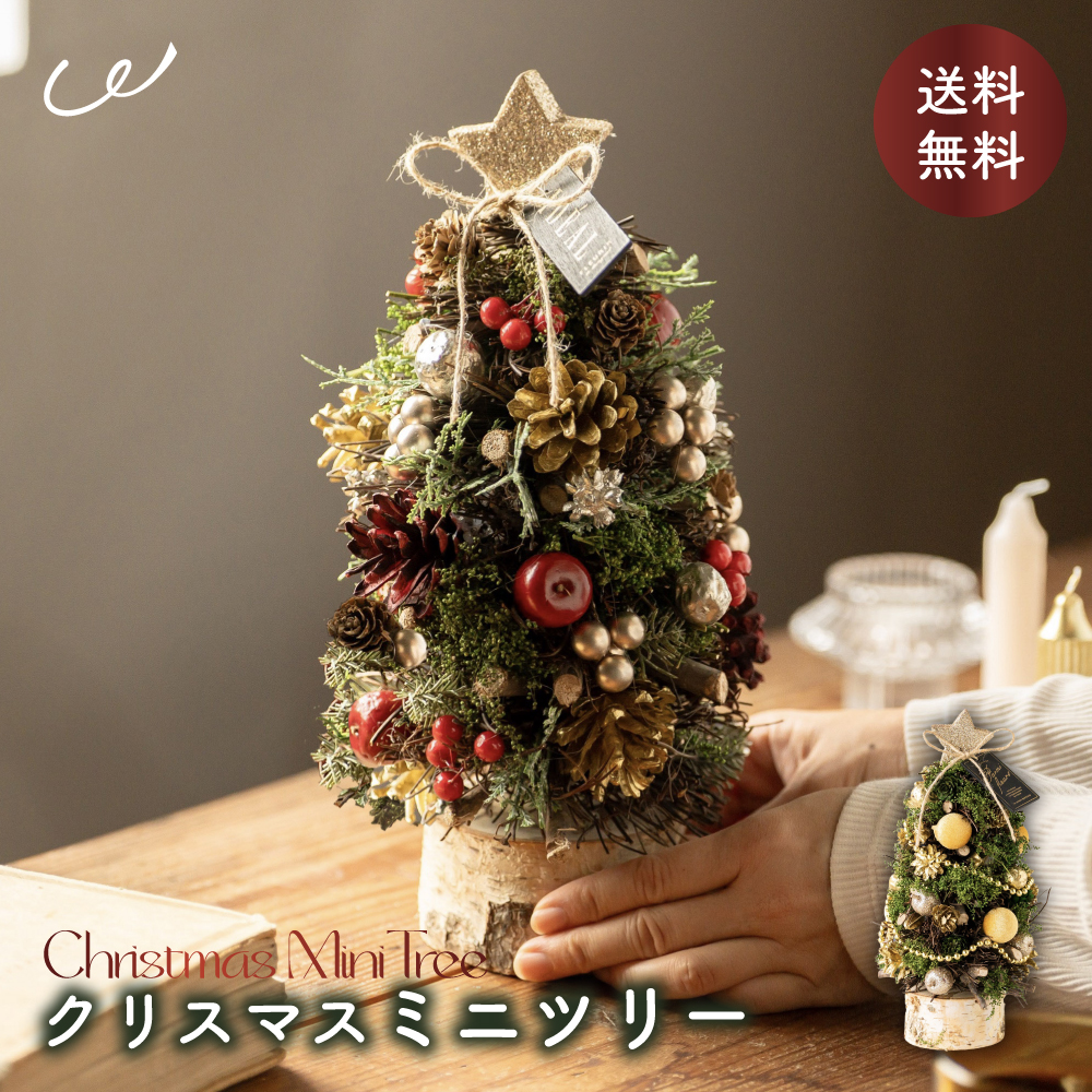 ツリー ミニツリー モミの木 北欧風 卓上ツリー 壁掛け オーナメント