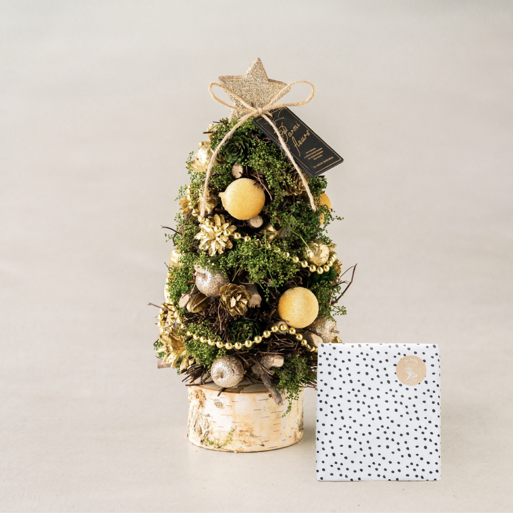 ツリー ミニツリー モミの木 北欧風 卓上ツリー 壁掛け オーナメント