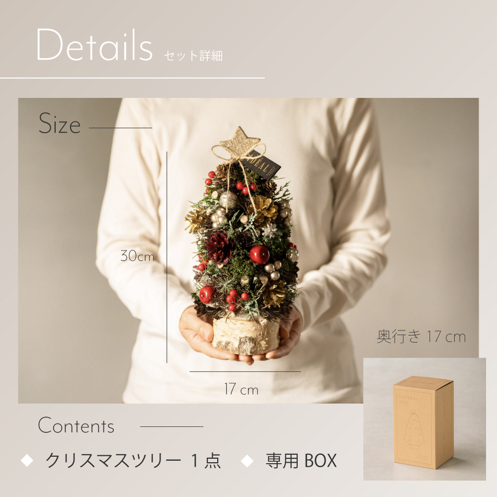ツリー ミニツリー モミの木 北欧風 卓上ツリー 壁掛け オーナメント
