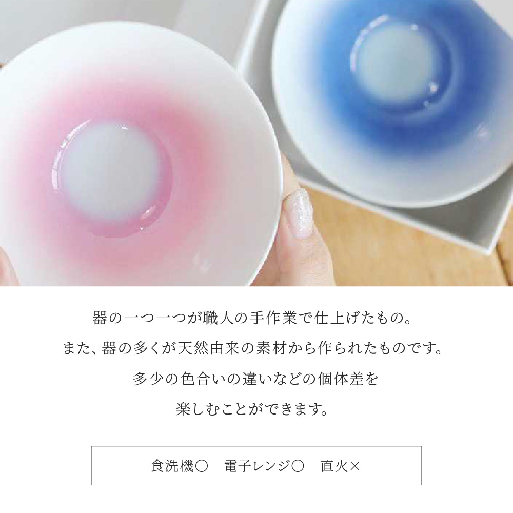 感器工房 WANOKA 組飯碗／薄紅・露草 有田焼 お茶碗 食洗器対応 陶器 2