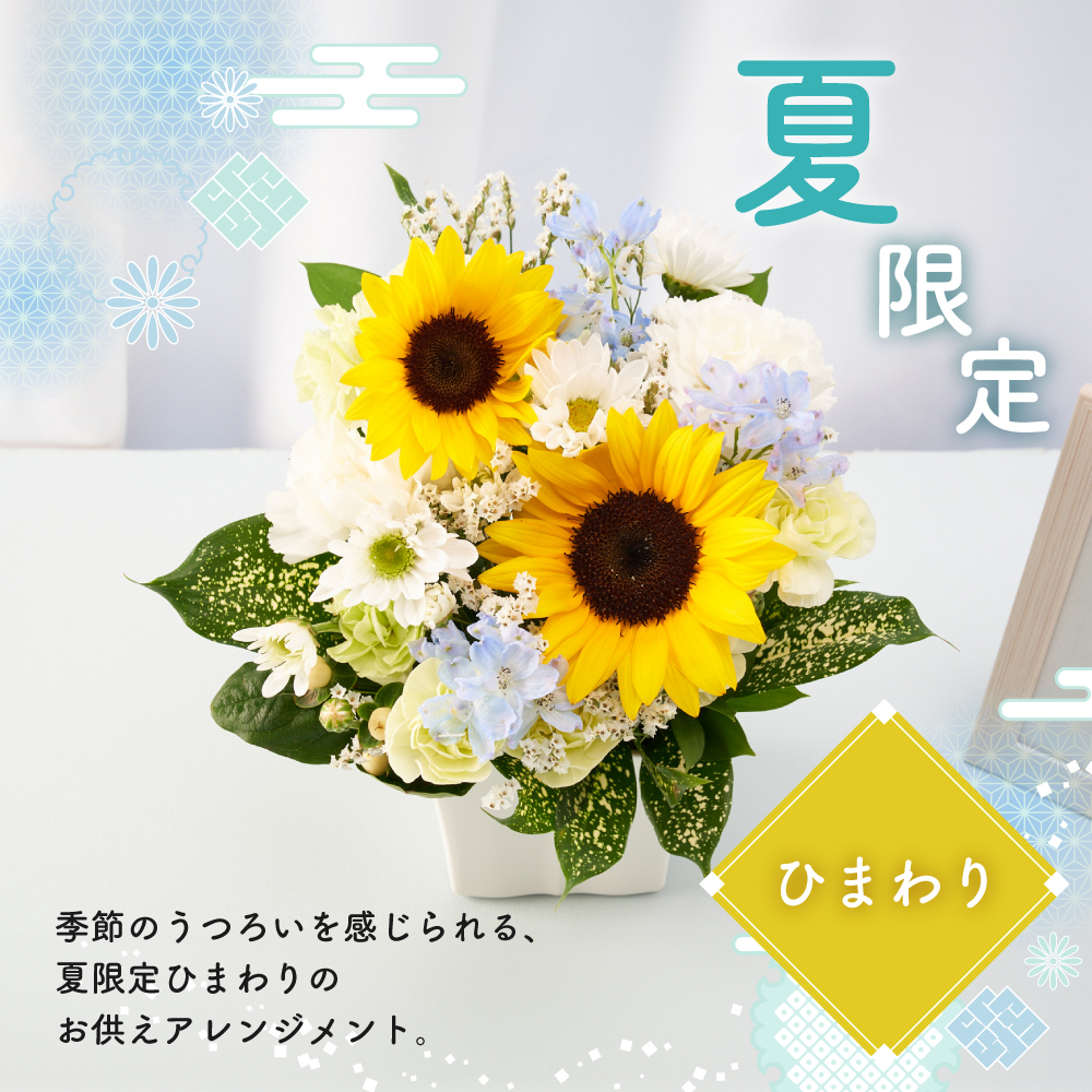 シーズン