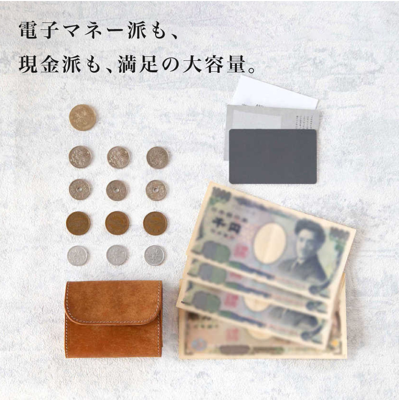 LITSTA 電子マネー 現金 大容量