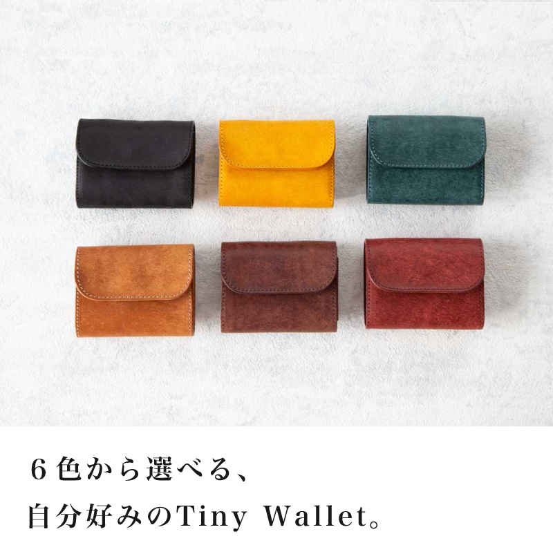 LITSTA 満足のカラーバリエーション