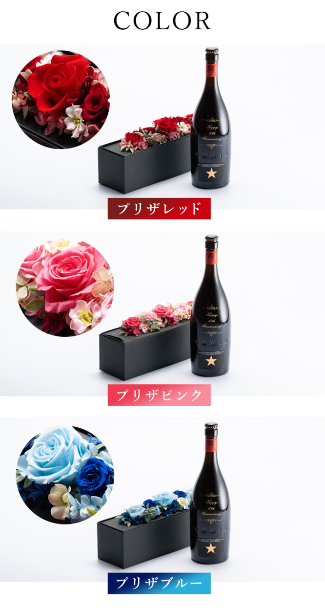 カラーバリエーション