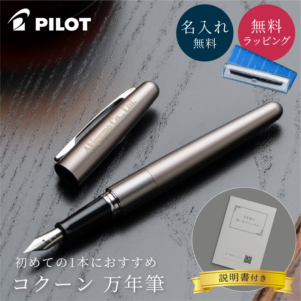 Amazon | パイロット カクノ 細字 透明軸 万年筆インク