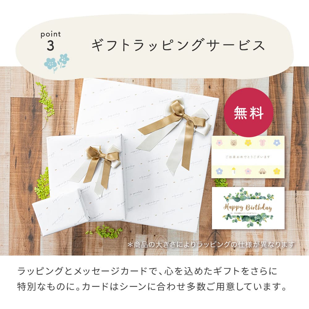 リッチェル Richell アスター おうちおでかけスタートセット