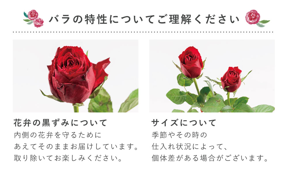バラ10本と季節のお祝いアレンジメント