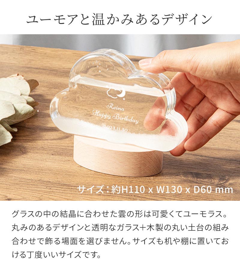 名入れ Fun Science ストームグラス クラウドオーバル