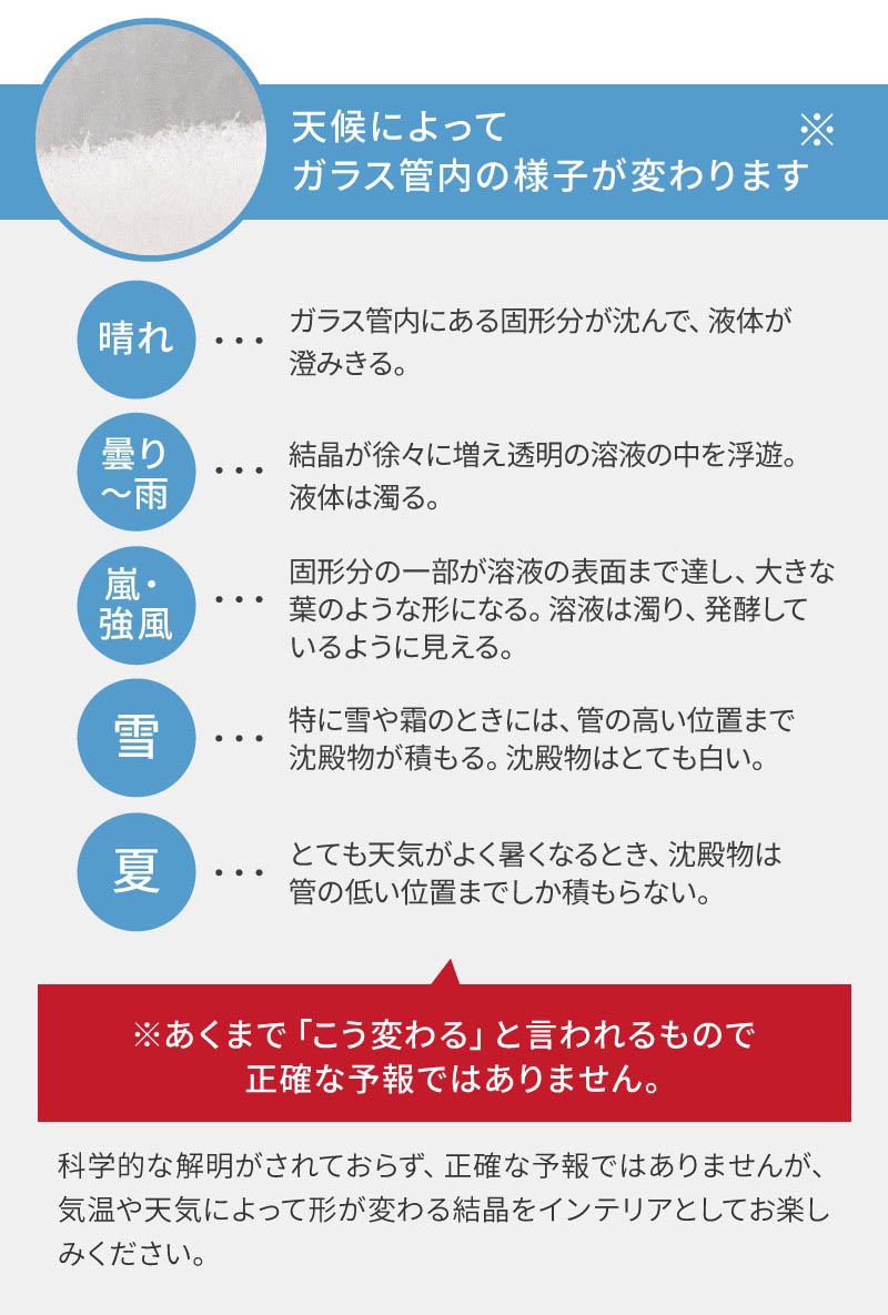 名入れ Fun Science ストームグラス クラウドオーバル