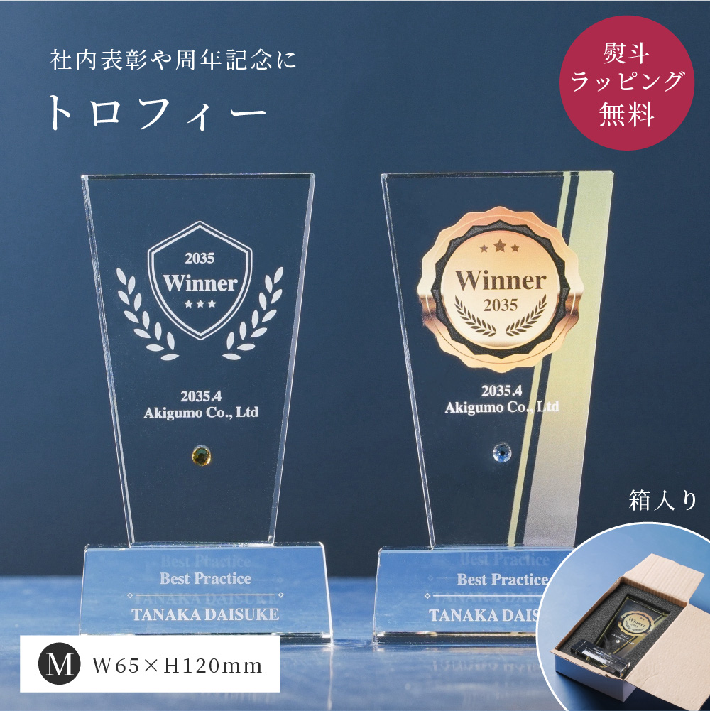 非売品 コカ・コーラ トロフィー 1999年 表彰記念 専用ケース付 トロフィー中 Mサイズ 盾形 社内表彰・周年記念用 PS-5B クリスタル