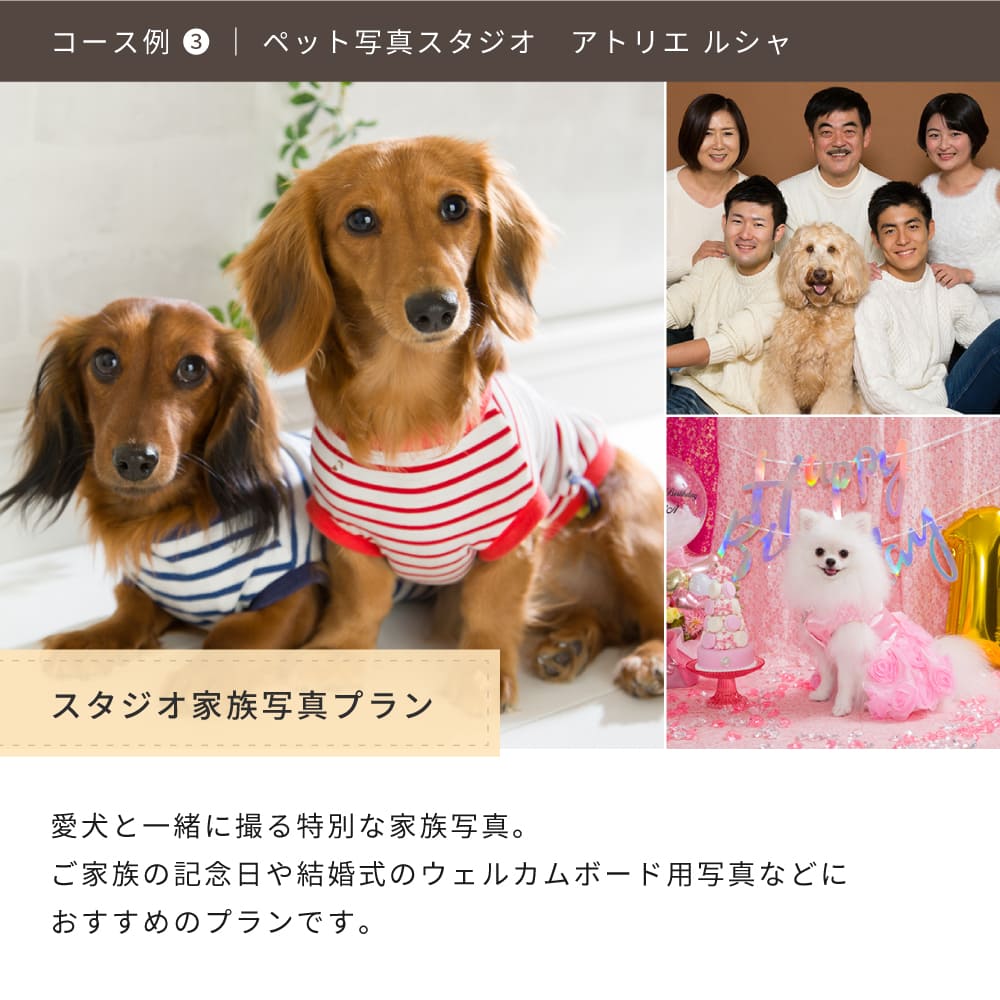 Anny 【選べる】体験ギフトチケット -with Dog-