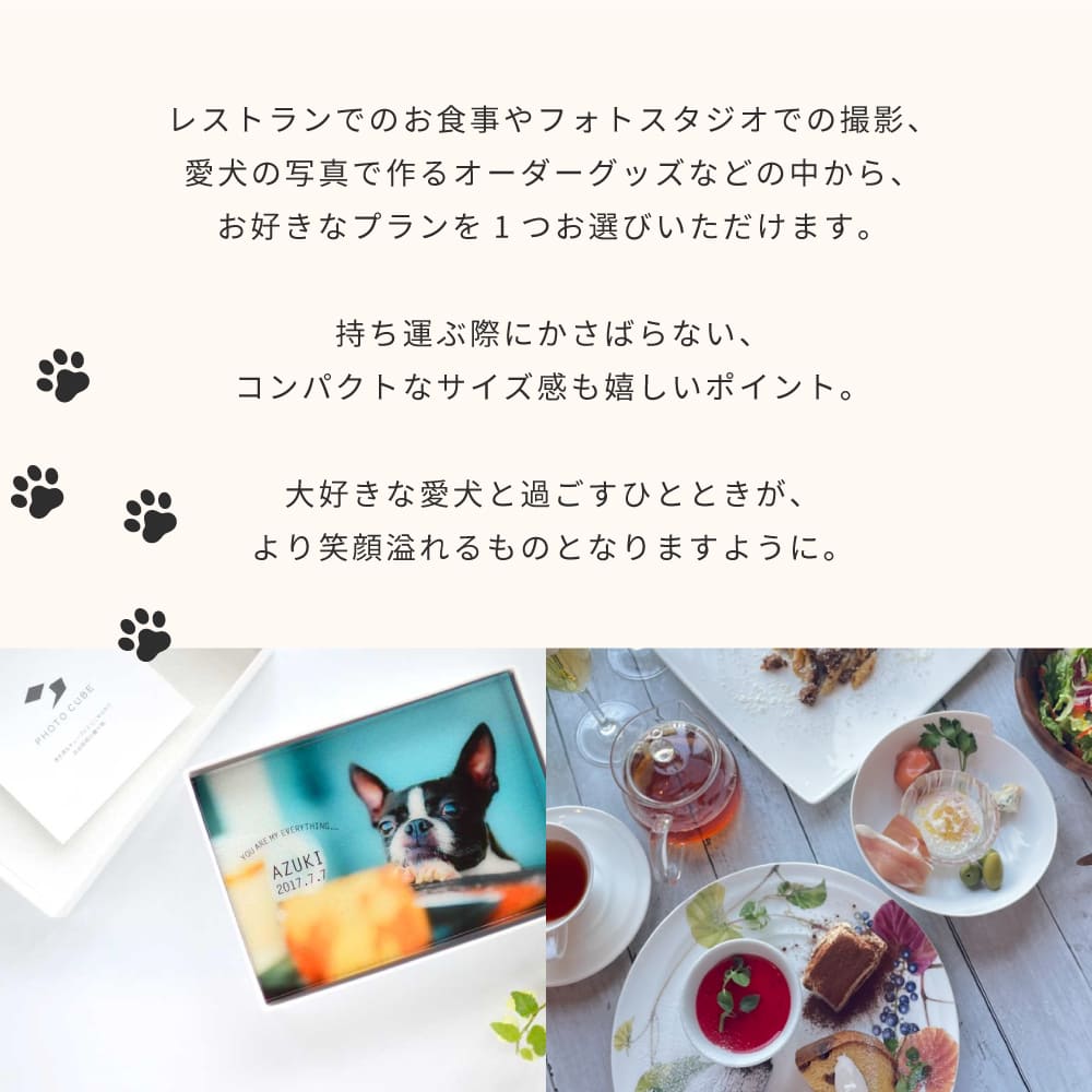 Anny 【選べる】体験ギフトチケット -with Dog-