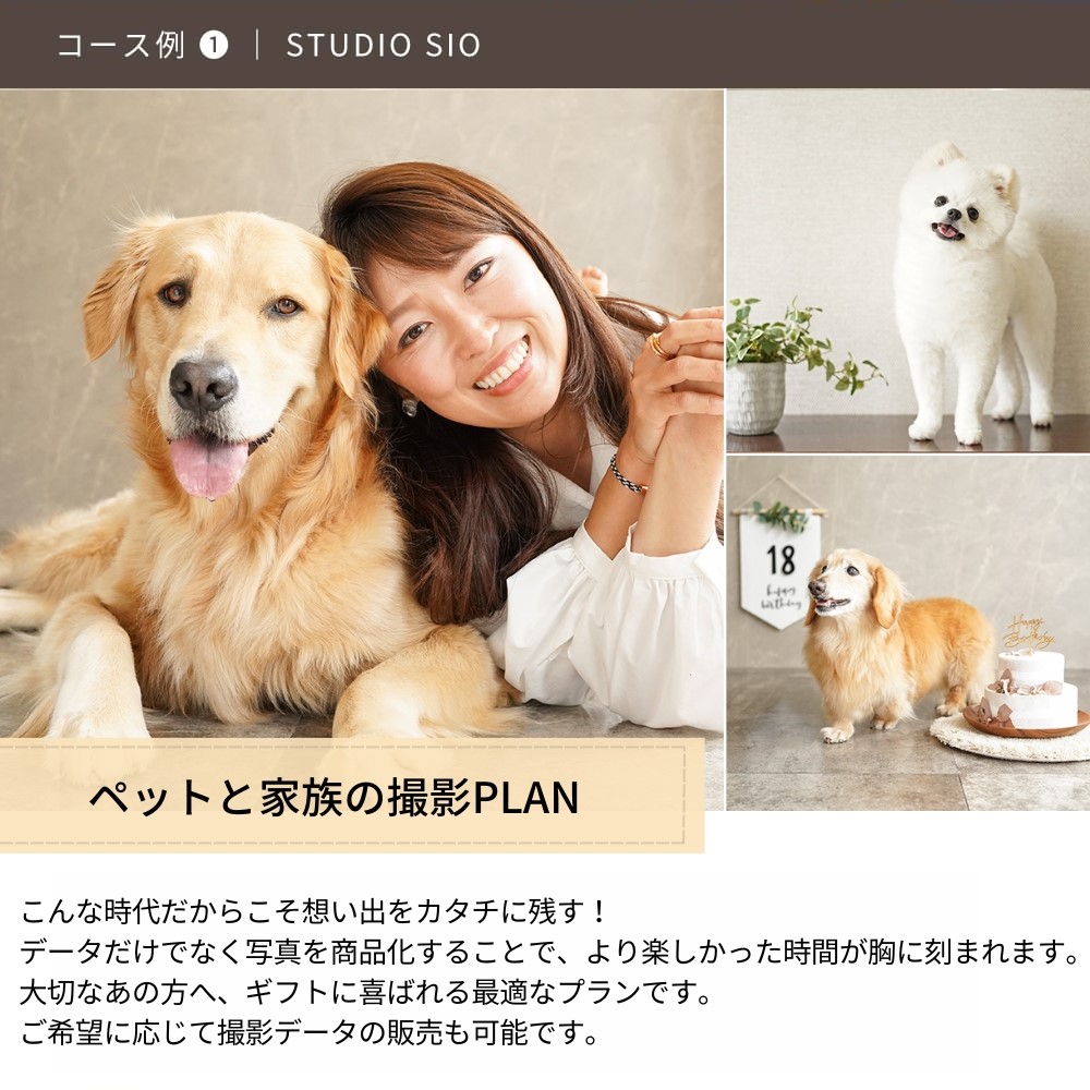 Anny 【選べる】体験ギフトチケット -with Dog-