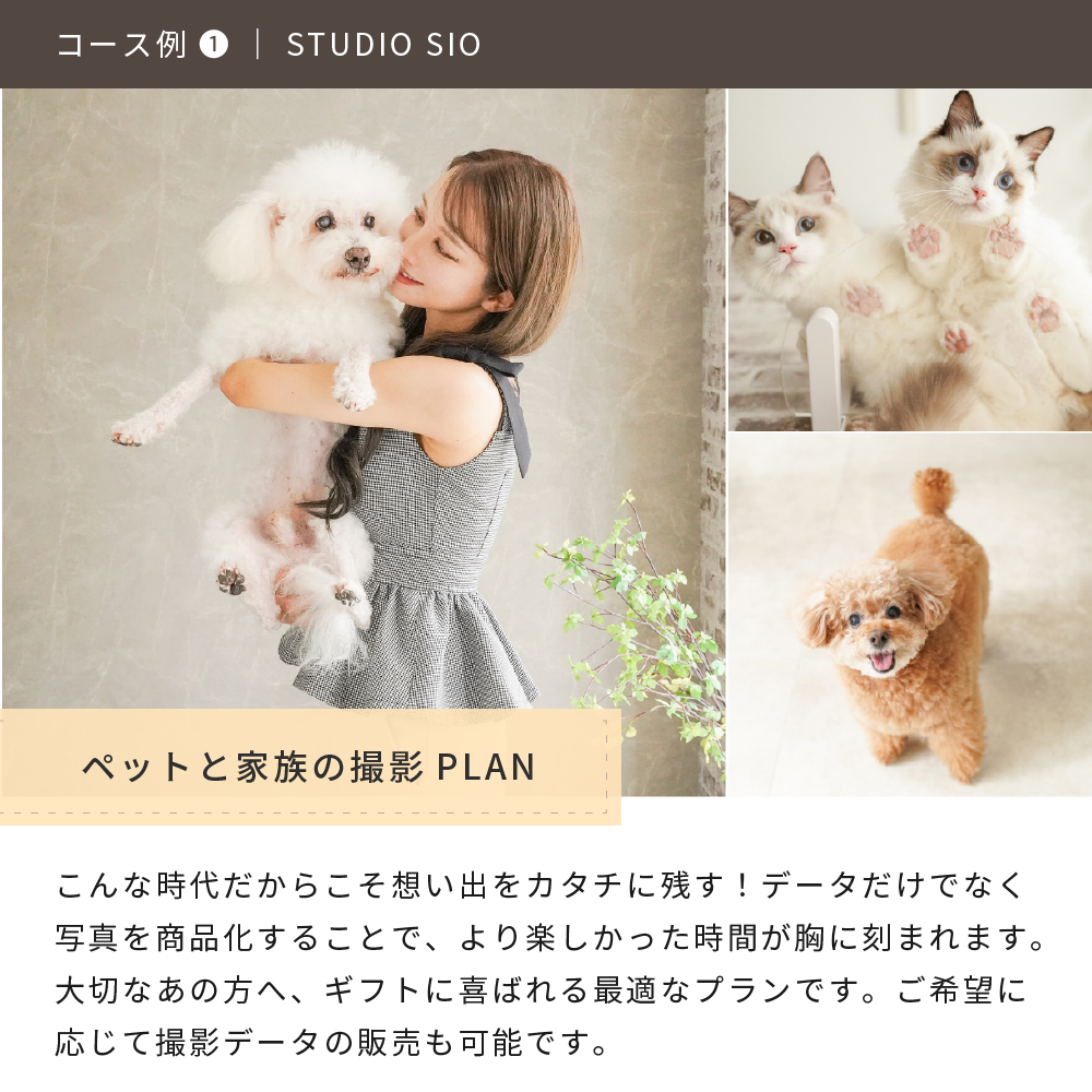 Anny 【選べる】体験ギフトチケット -with Dog-