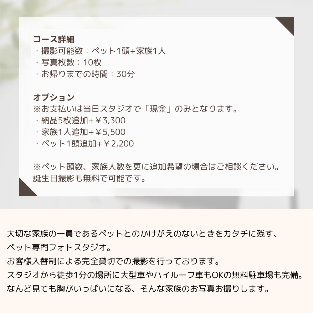 Anny 【選べる】体験ギフトチケット -with Dog-