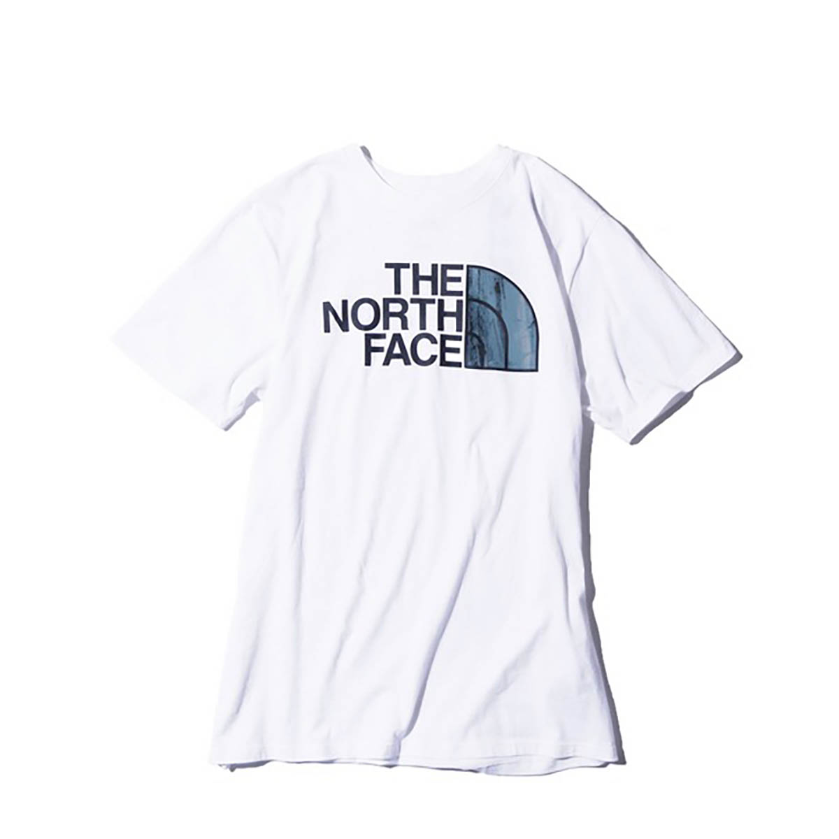 THE NORTH FACE ザ・ノース・フェイス Tシャツ NF0A4M4P Short Slee...