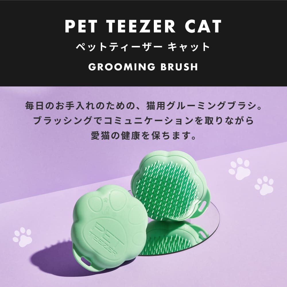 ベネッセ 英語教材 BE-GO ミスティックキャット ストラップクリーナー レア コウペンちゃん ツインGTGKキャップレス～Webオーダーパック