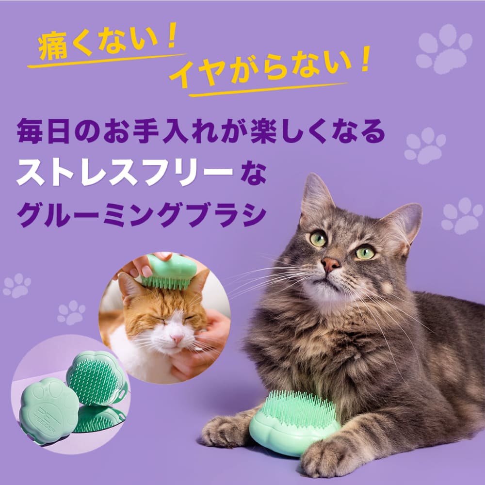 ベネッセ 英語教材 BE-GO ミスティックキャット ストラップクリーナー レア 皆ヘッドホンマイクに憧れた…古のベネッセの英語教材「ビーゴ