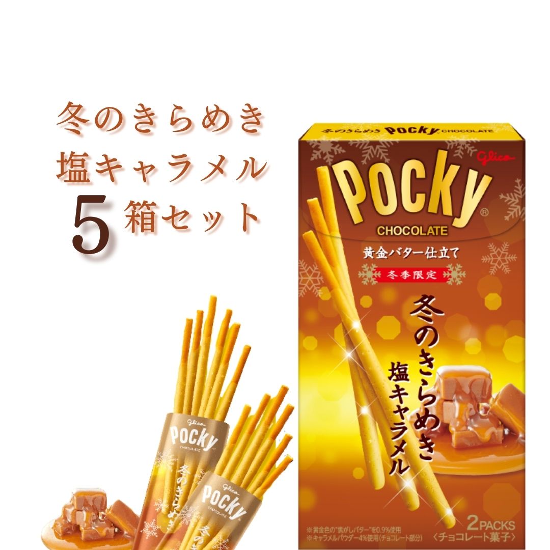 Pocky 冬のきらめき ポッキー 5箱 お菓子 チョコスナック グリコ 冬季