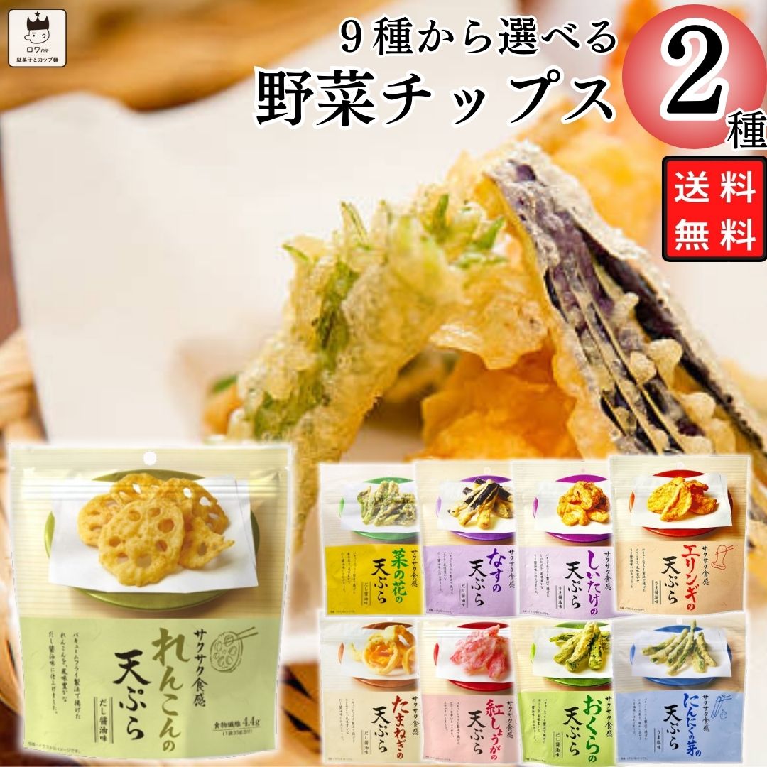 お菓子 詰め合わせ おつまみ 野菜チップス 天ぷらスナック 9種から選べる2種｜shopsourire