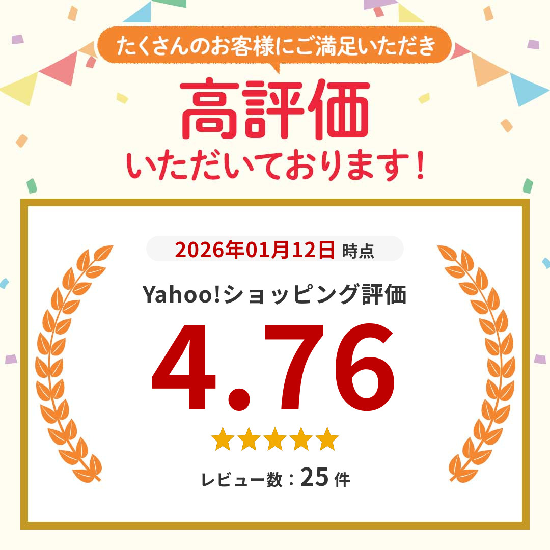 ラーメン 取り寄せ 五木食品 棒ラーメン 4種...の詳細画像2