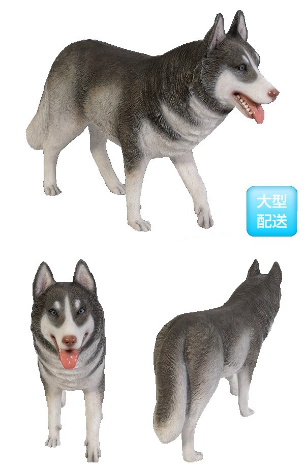 ＦＲＰアニマルオブジェ シベリアンハスキー犬 : fr120079 : セレクト