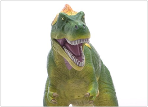 羽毛ティラノサウルス ビニールモデル(FD-311) rdzdsi3 恐竜 羽毛ティラノサウルス ビニールモデル (FD-311) : セレクト