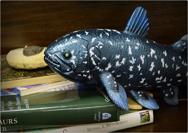 シーラカンス ビニールモデル(FF-301) 77715 p-61333 : セレクト