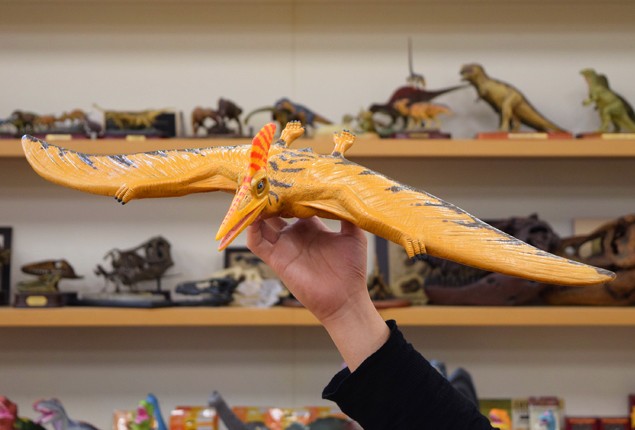 恐竜 ビニールモデル プレミアムエディション 5種類セット p 恐竜 ビニールモデル プレミアムエディション 5種類セット p