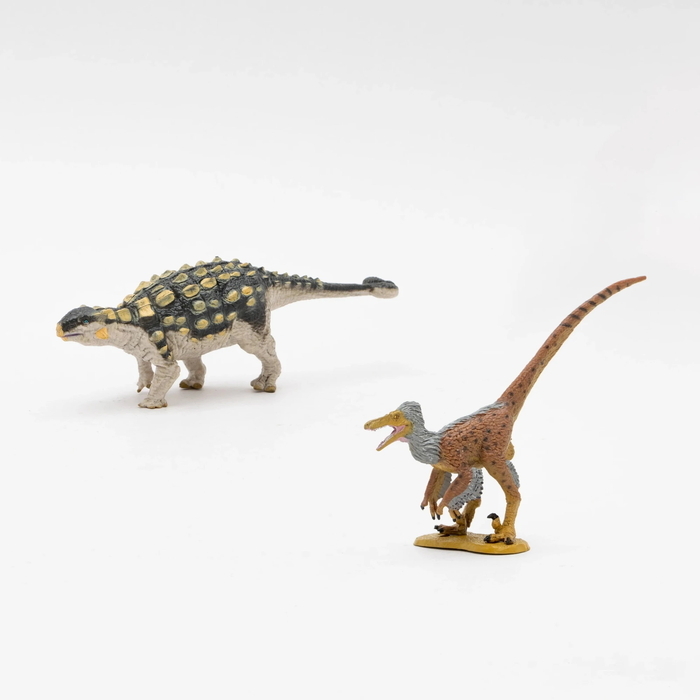 恐竜 ダイナソー ソフトモデルボックス 02 p-61699 : セレクトショップ