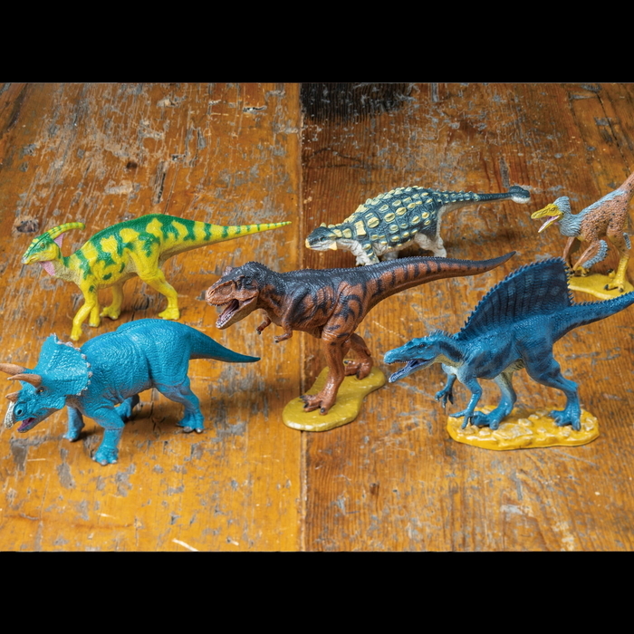 【専用】恐竜モデル セット 恐竜 ダイナソー ソフトモデルボックス 02 p-61699 : セレクトショップ