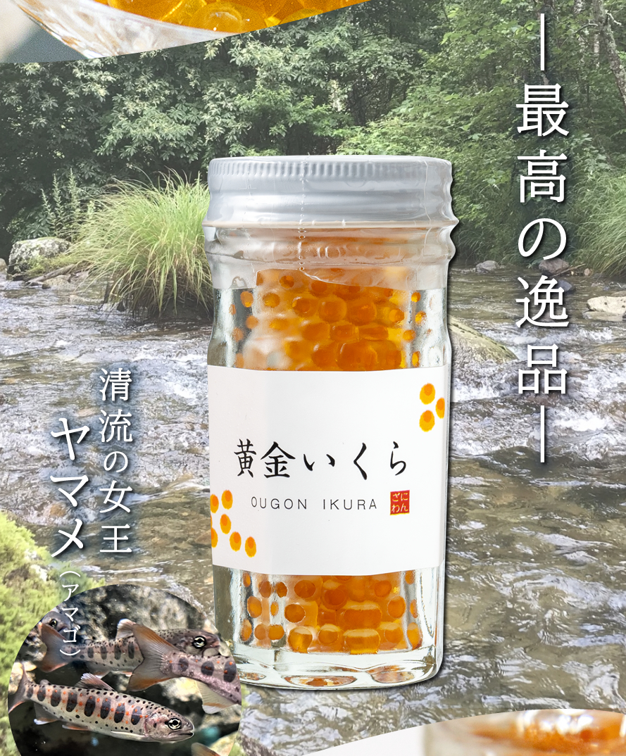 甲斐あかね鱒 忍沢養殖場 黄金いくら