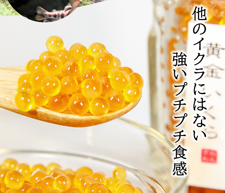 甲斐あかね鱒 忍沢養殖場 黄金いくら