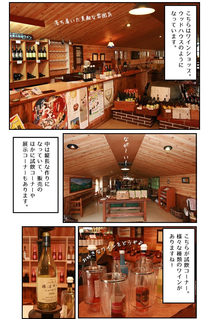 麻屋葡萄酒 山梨ワイン 甲州ワイン