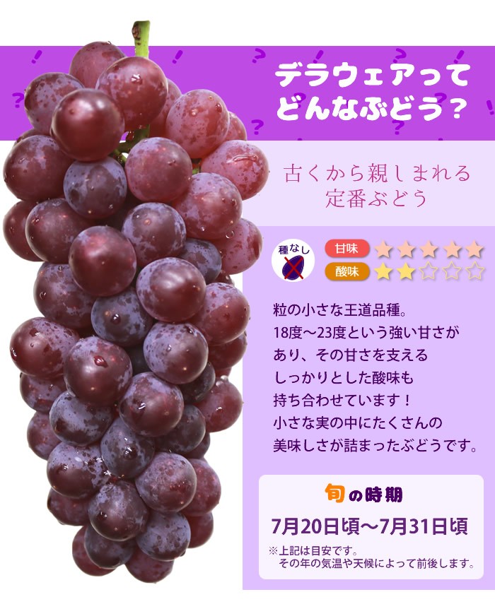 ぶどう デラウェア 山梨県産 送料無料 農家直送 4kg箱 (22〜25房