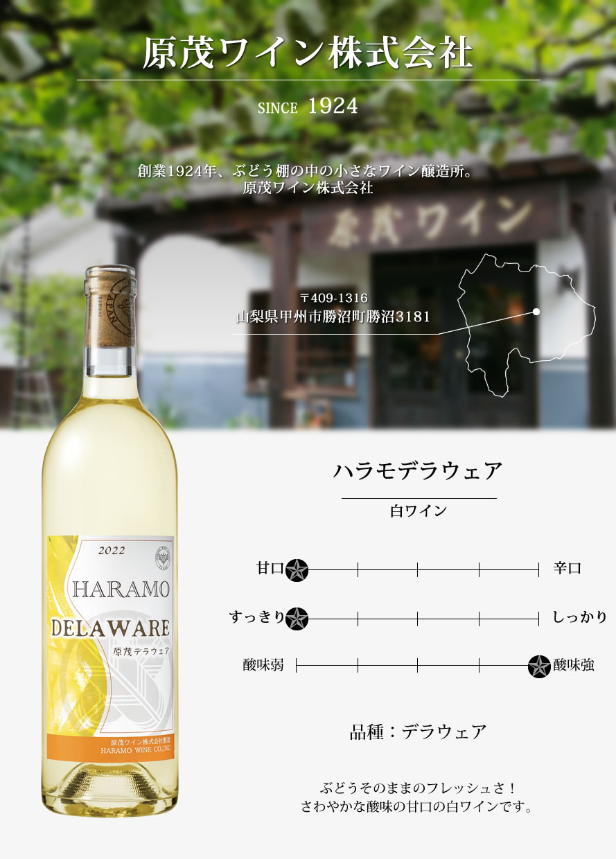 ワイン 白ワイン 山梨ワイン 甘口 デラウェア 原茂ワイン ハラモデラウェア 2022 750ml (10月上旬ごろ発売予定) :HM-0005:山梨百貨店  - 通販 - Yahoo!ショッピング