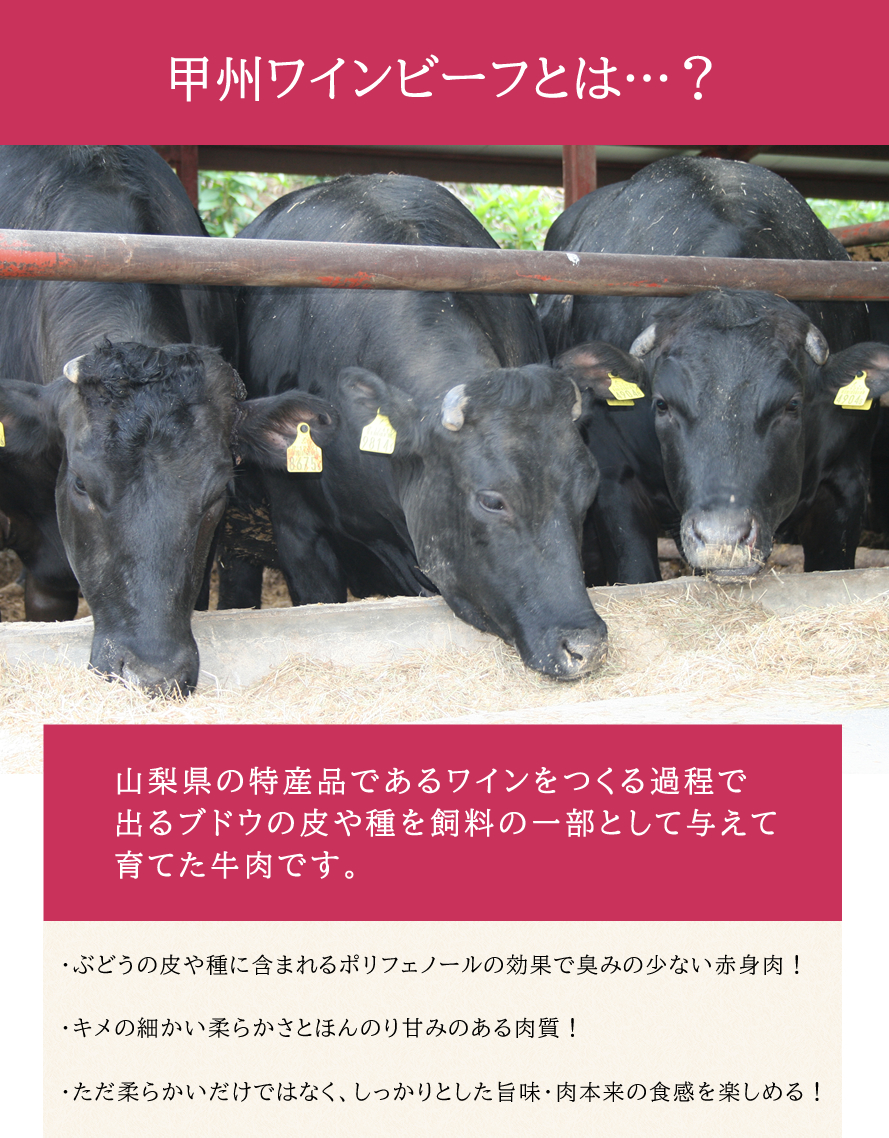 甲州ワインビーフ ビーフシチュー ビーフカレー 山梨県 ブランド牛