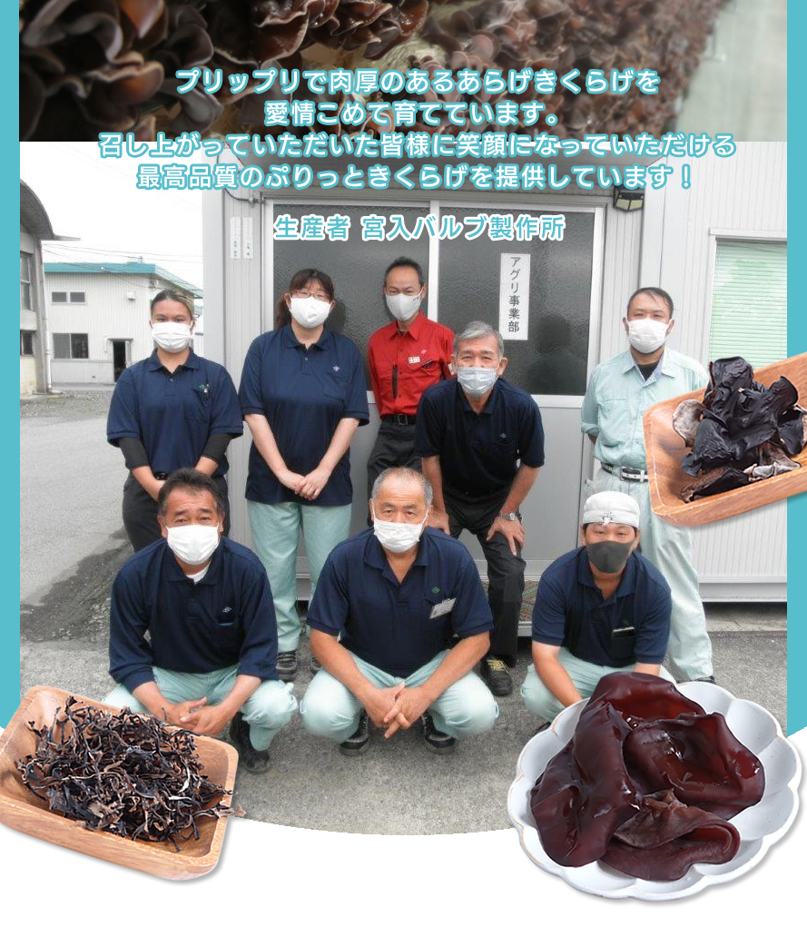 山梨県産 きくらげ 宮入バルブ製作所