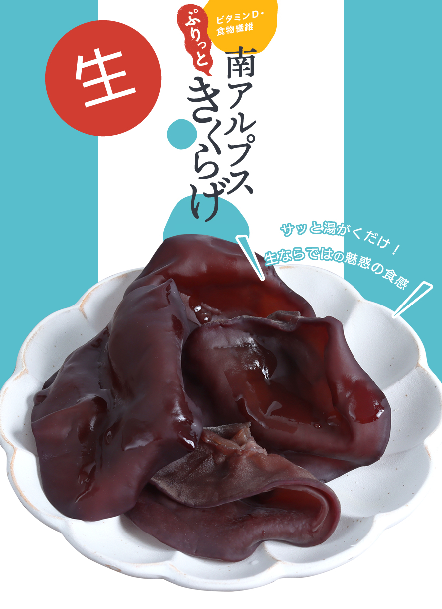 山梨県産 きくらげ 宮入バルブ製作所