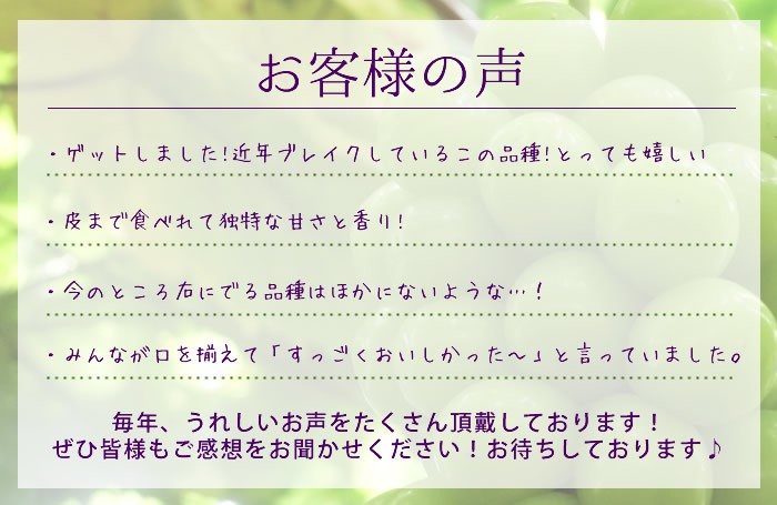 山梨県産 ぶどう シャインマスカット